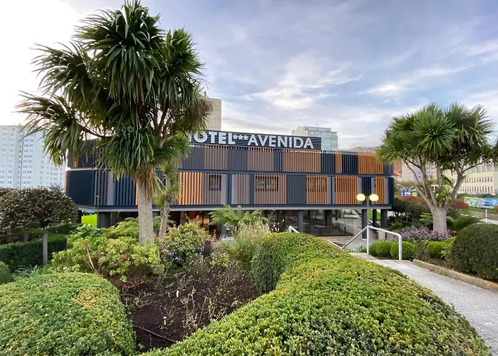 Avenida Lofts