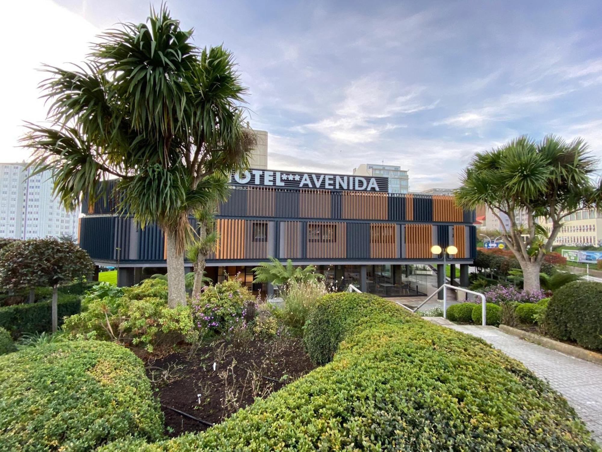 Avenida Lofts *
